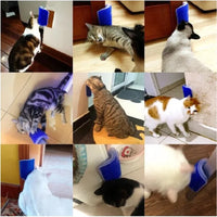 Pet Care Grooming Station