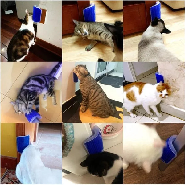 Pet Care Grooming Station