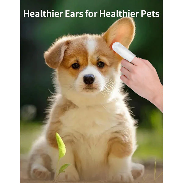 Gentle Ear Care Wipes